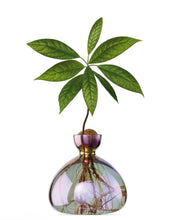 Lade das Bild in den Galerie-Viewer, Ilex Studio Avocado Vase