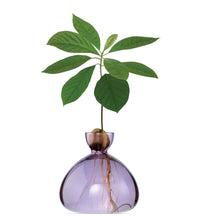 Lade das Bild in den Galerie-Viewer, Ilex Studio Avocado Vase