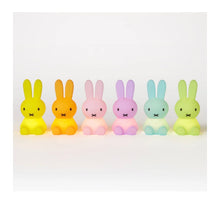 Lade das Bild in den Galerie-Viewer, Miffy Colourful Surprise – Bundle of Light
